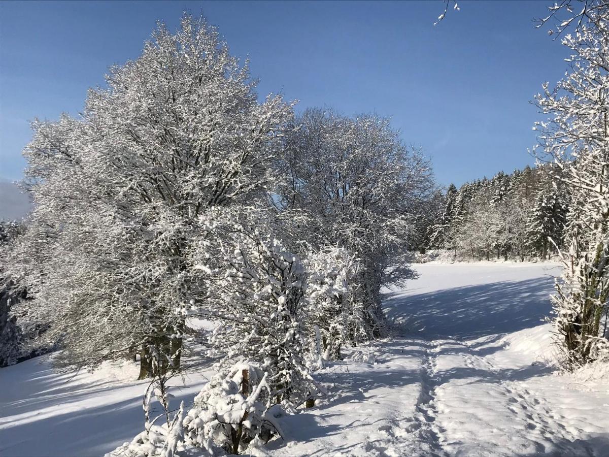 Villa Holgenbach - Penthouse- und Ferienwohnung im Nationalpark Eifel Schleiden Exterior foto