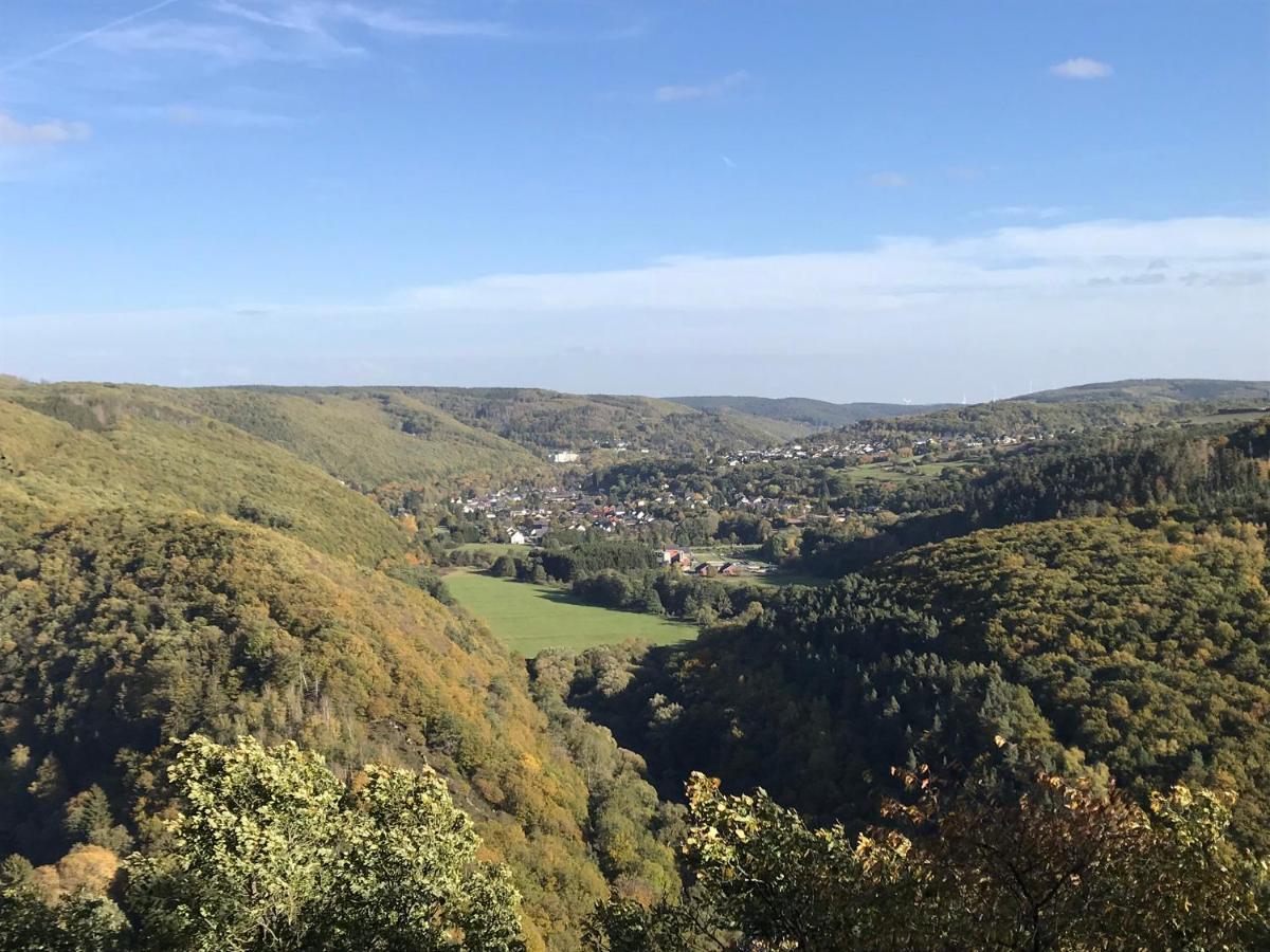 Villa Holgenbach - Penthouse- und Ferienwohnung im Nationalpark Eifel Schleiden Exterior foto