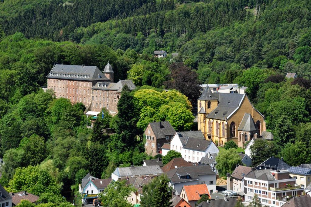 Villa Holgenbach - Penthouse- und Ferienwohnung im Nationalpark Eifel Schleiden Exterior foto