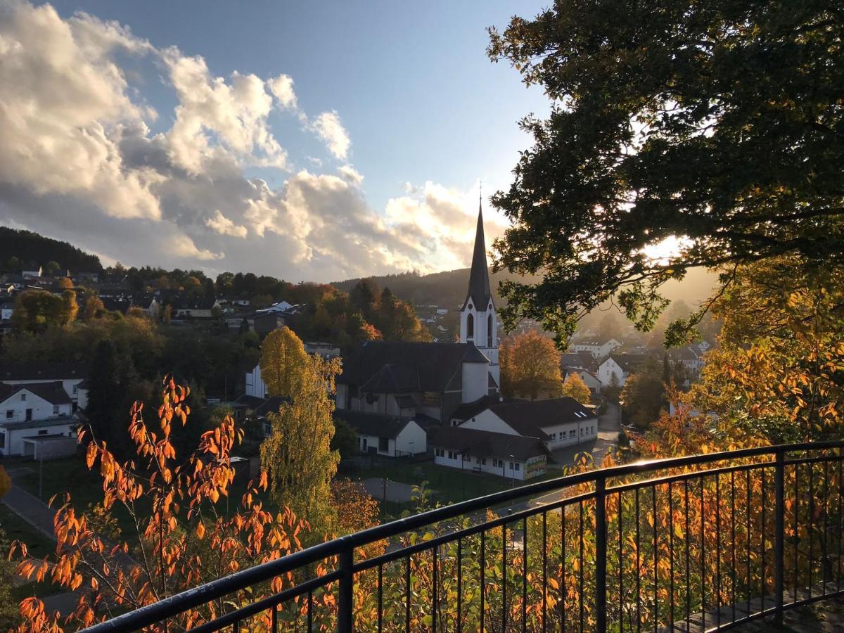 Villa Holgenbach - Penthouse- und Ferienwohnung im Nationalpark Eifel Schleiden Exterior foto