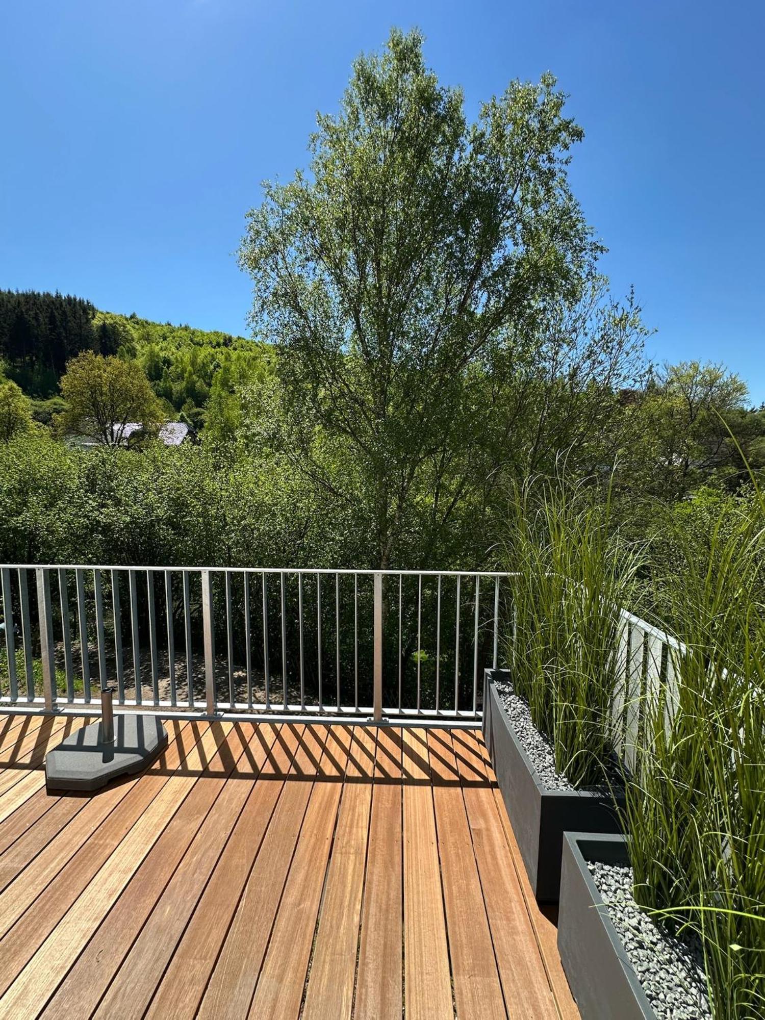 Villa Holgenbach - Penthouse- und Ferienwohnung im Nationalpark Eifel Schleiden Exterior foto